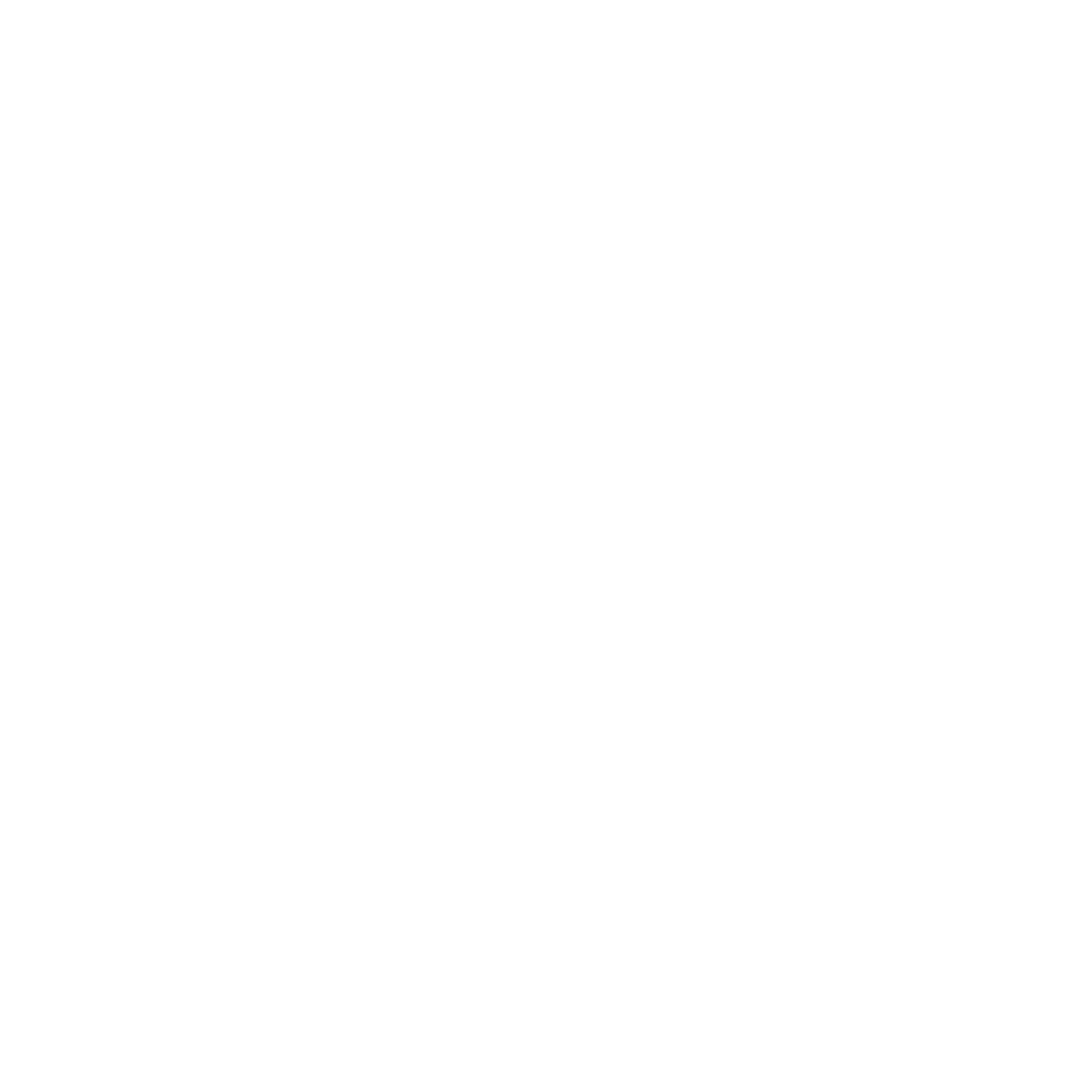 ProLaunch Academy logo